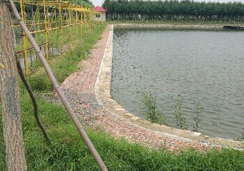 云泊湾休闲垂钓基地