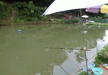 红岩勇娃子钓场