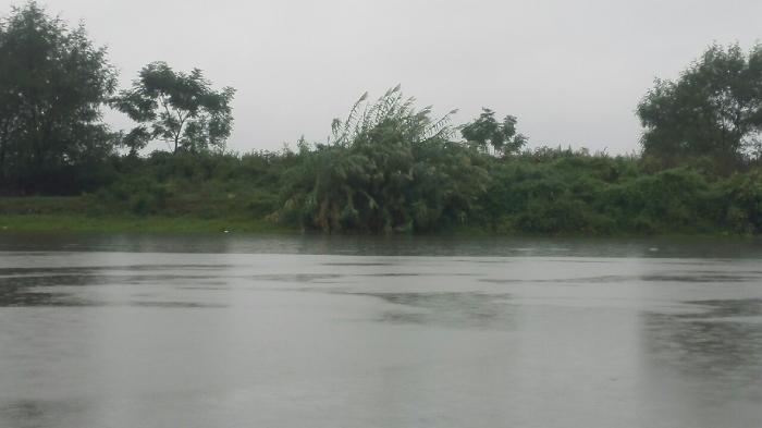 武义江金山街段