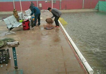 杜家庄生态垂钓园