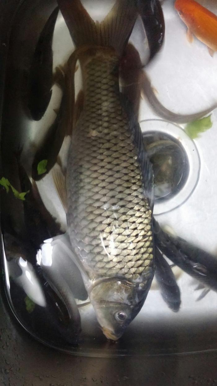 漓江（解放桥头）