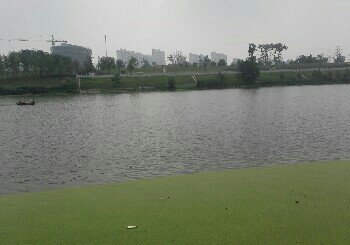 太和王大庄钓场