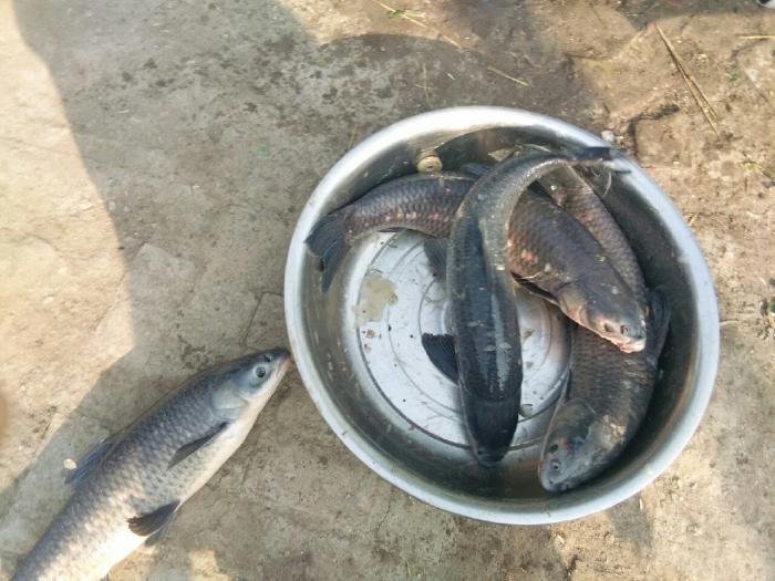 佳乐农场垂钓中心