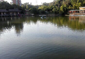 农家大院钓鱼场