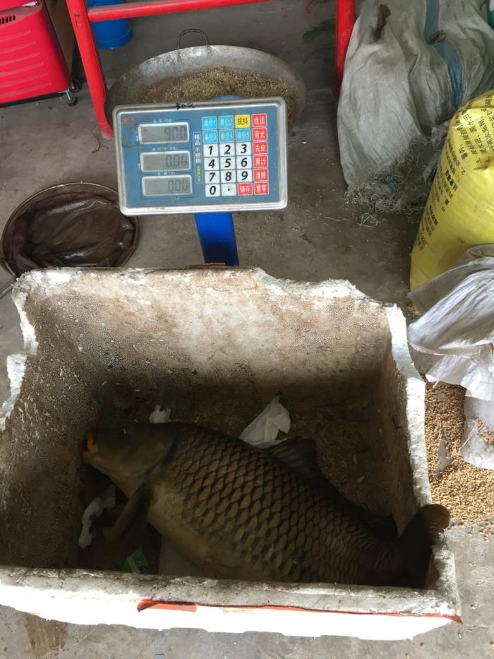 聚友休闲钓鱼农家乐