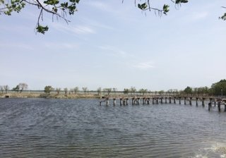 铁人公园碧绿湖