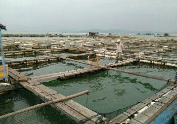 饶平汛洲岛海域大门