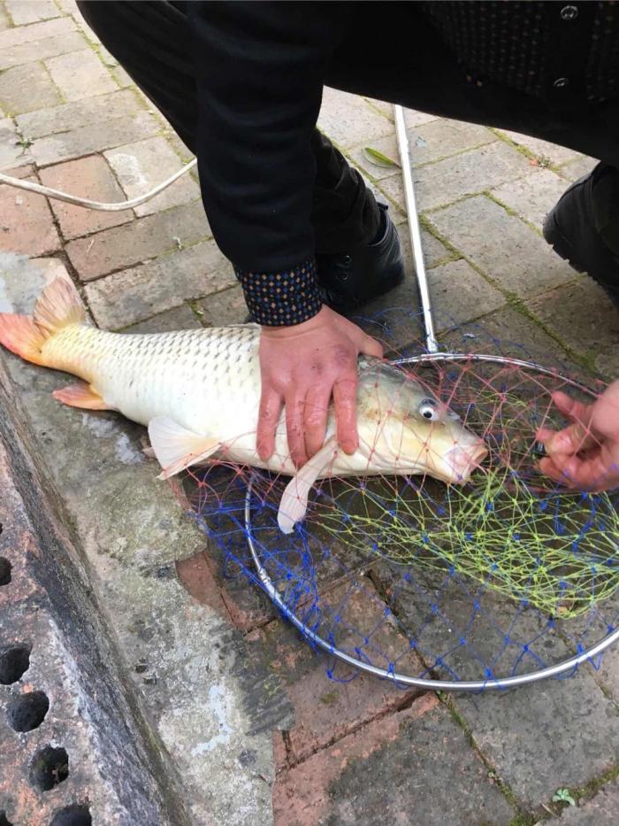 金家湾长明农家乐