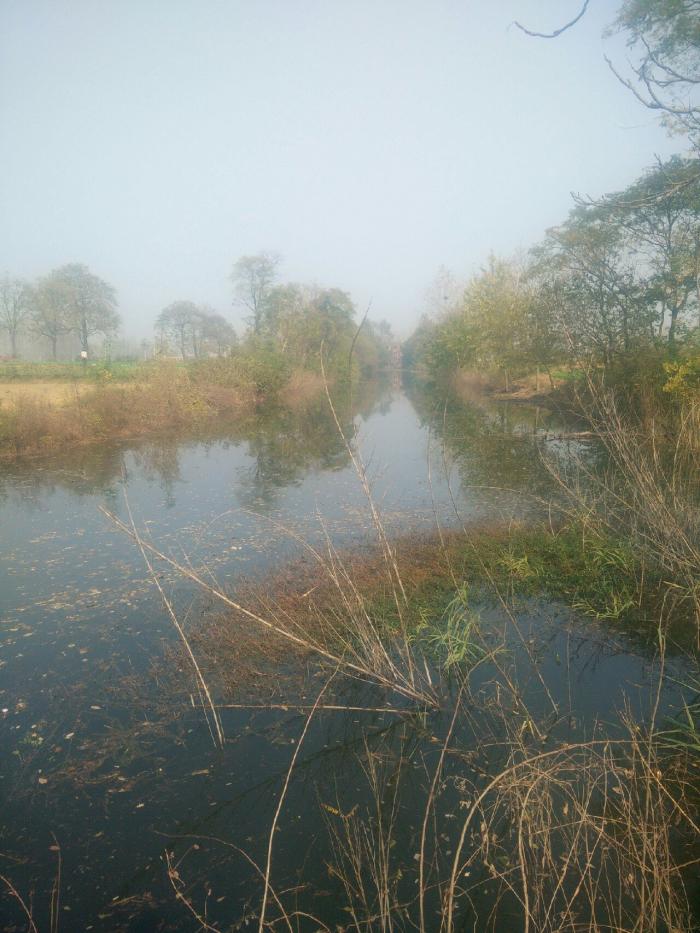 淝河李集东支流