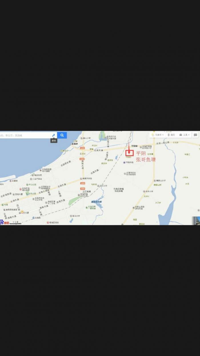 平阳张哥钓鱼场