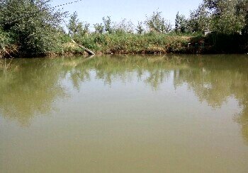 李杨恺约鱼乐园