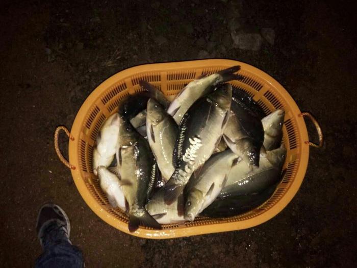 清水塘垂钓中心