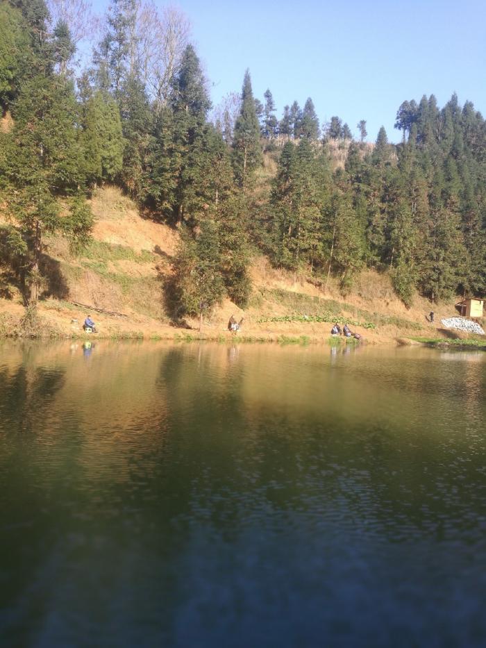 抵簸花海生态钓鱼乐园