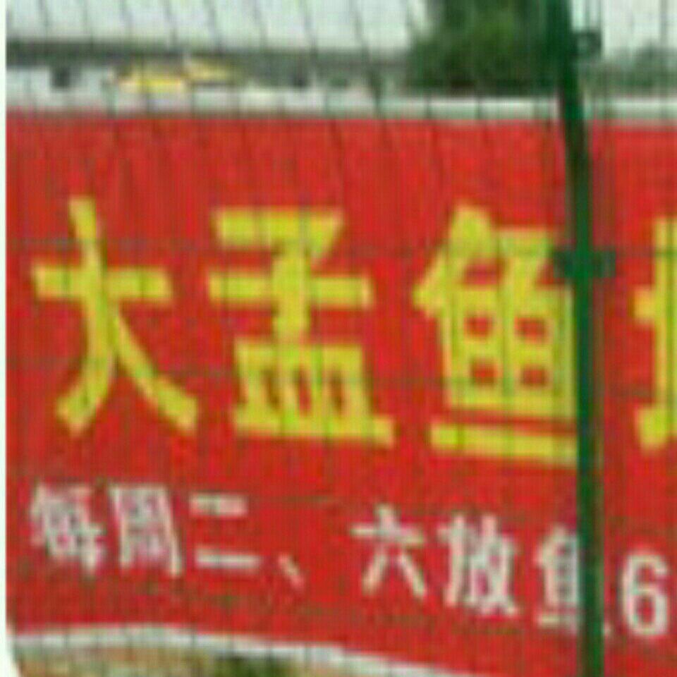 大孟鱼塘