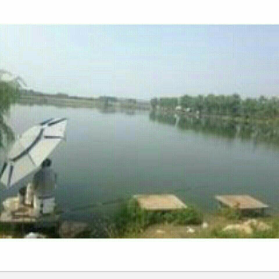 侯家鱼塘大塘子