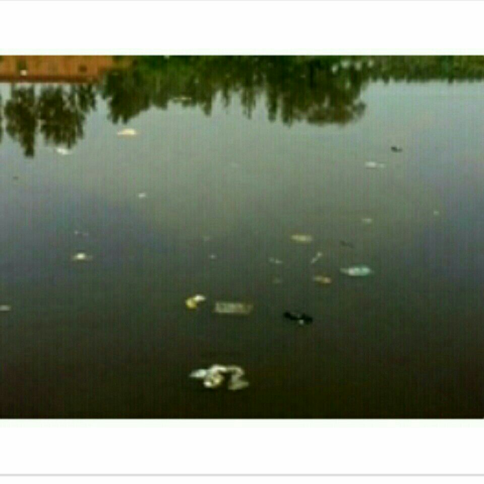 米南庄养鸡场钓场