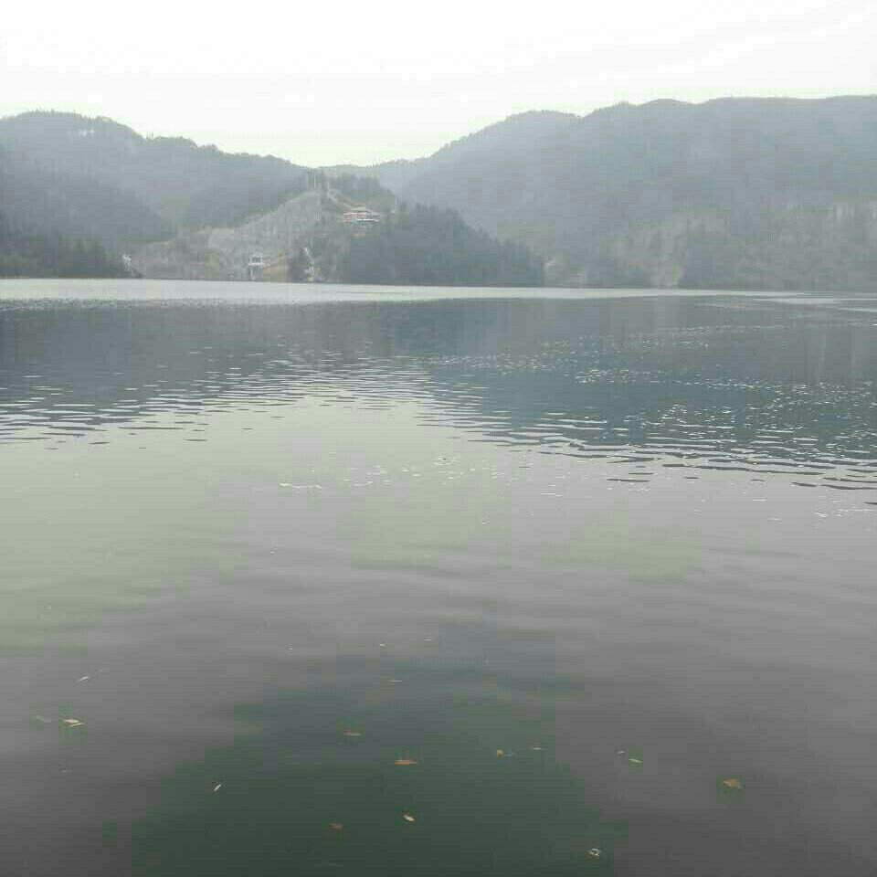 黄坛口村牛头湾钓点