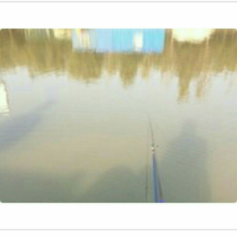 义和垂钓生态园