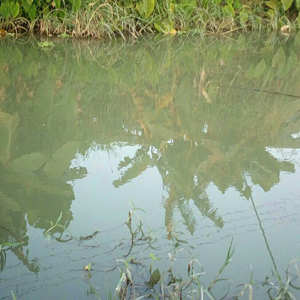 无名小河