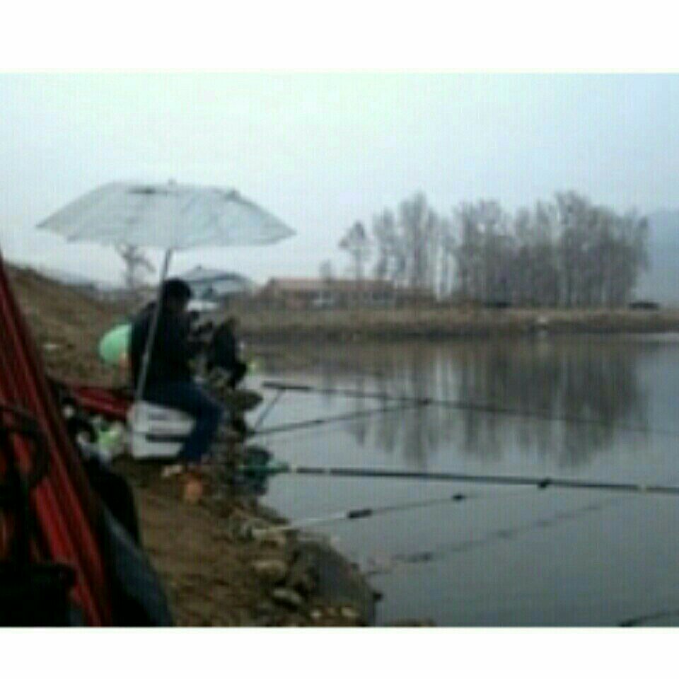 李家梁子荷花池