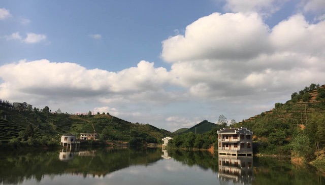 江头贡茶园（龙下冲水库）