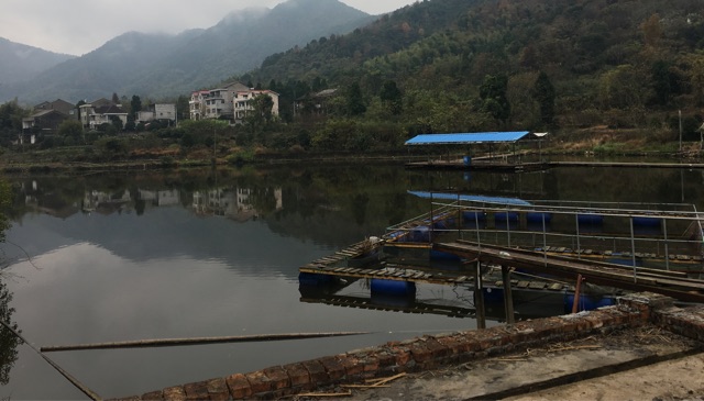 北洋岙里水库鱼塘