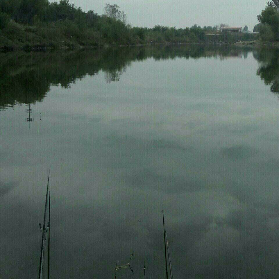 八棵树村垂钓园