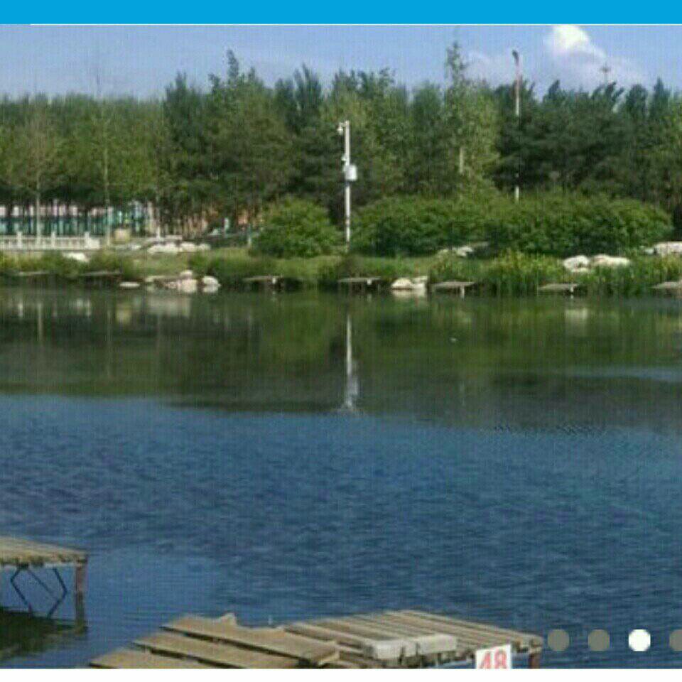 鱼哈哈垂钓园