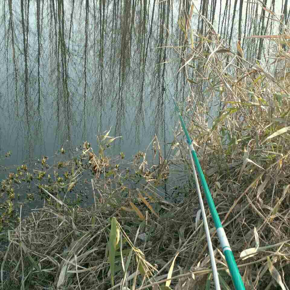 宁庄高速桥下空军而归