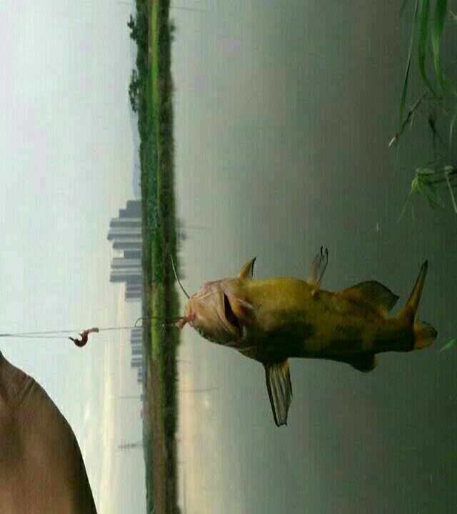 铁岭范家屯水库