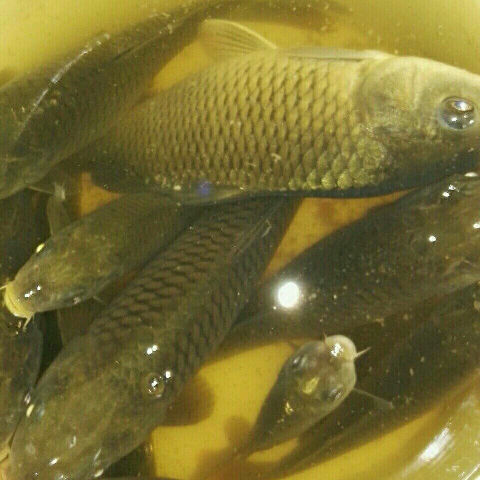 铜仁江口地落水库