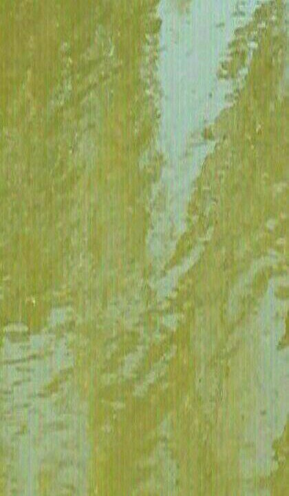 东津大桥下沙坑