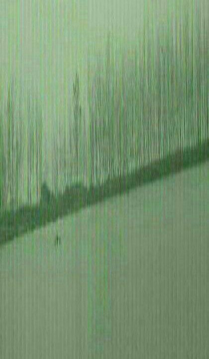 茨河沙场回水湾