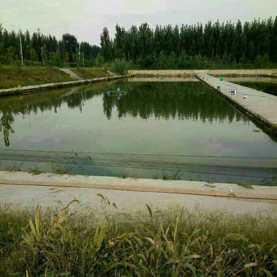 贾汪江庄垂钓园