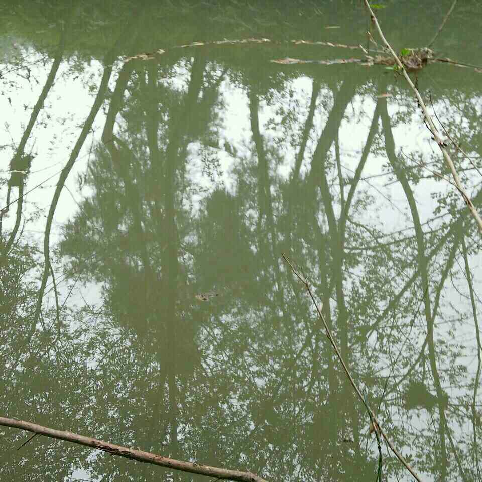 杨柏河乡潘家河