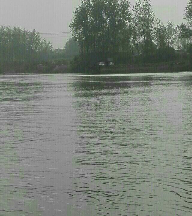 茨河关集段钓场