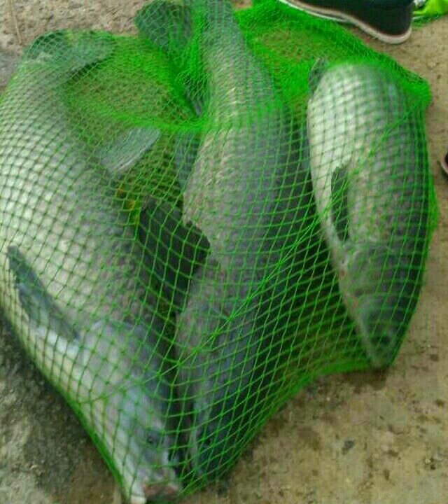 梅山新兰湖内水库