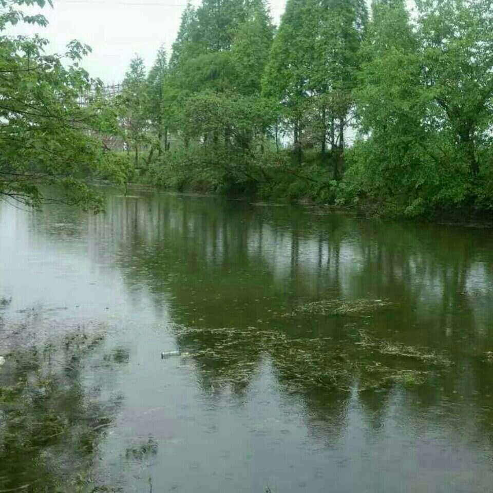 丹阳市访仙镇虞河