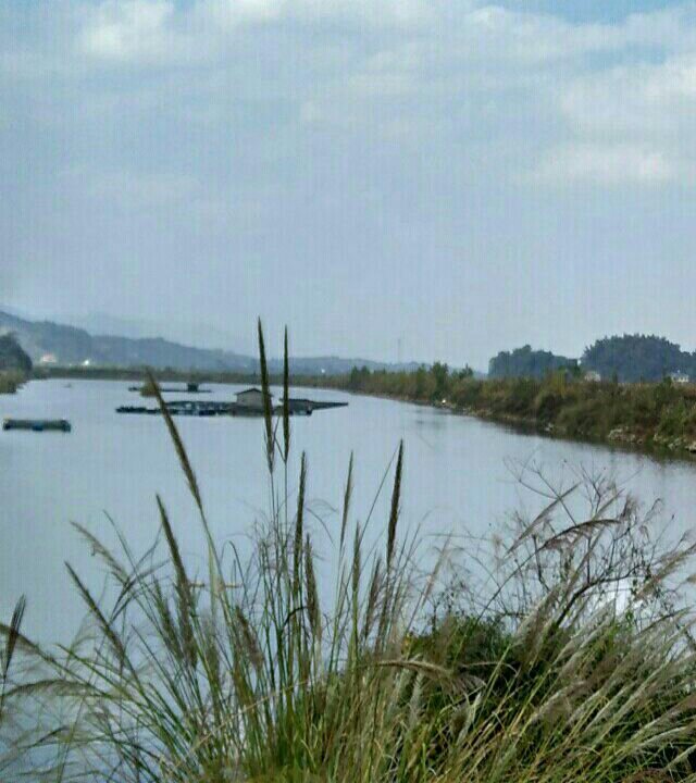 洪江茅头园围堰