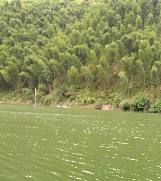 龙船塘玉龙岩电站