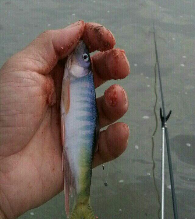 长江南溪段万人广场