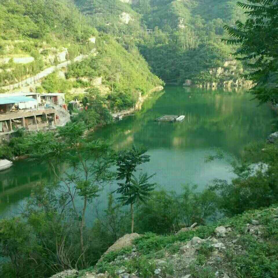 青天河村（此钓点有别与青天河景区）
