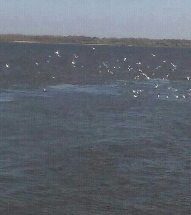 福禄鱼之乐休闲钓场