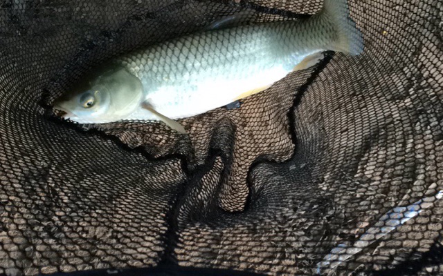 潭东乡政府旁边