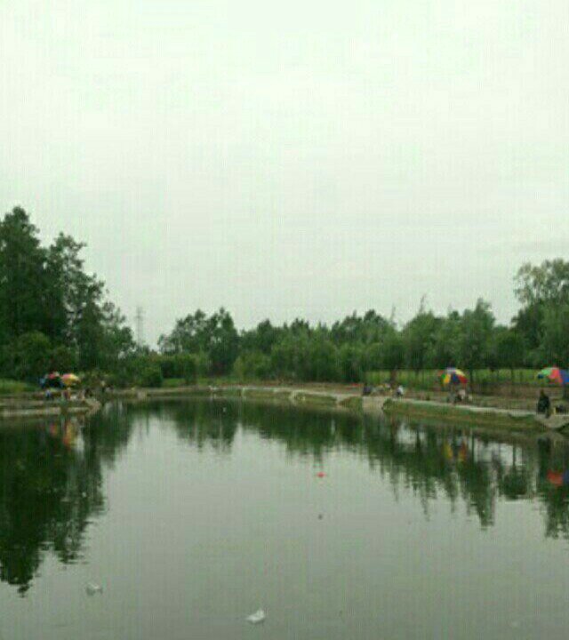 廖记休闲庄鱼塘