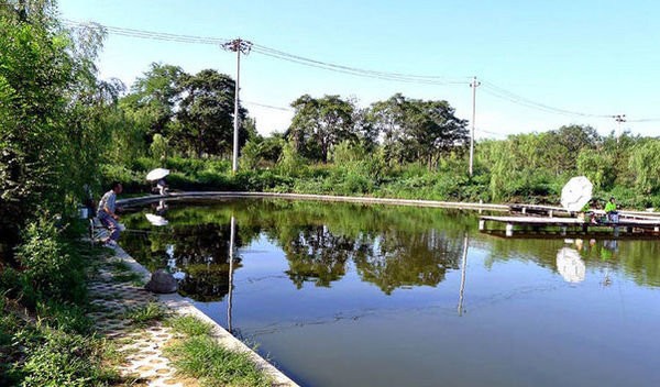 宏琳盛垂钓园