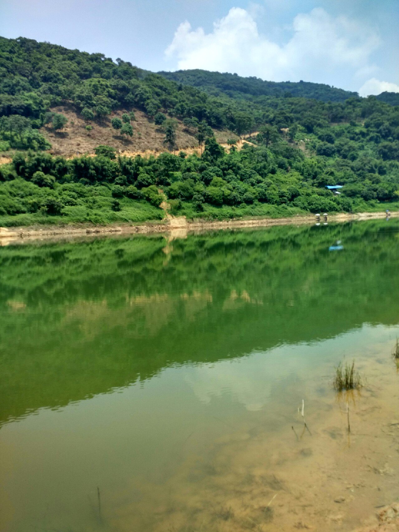 水声水库