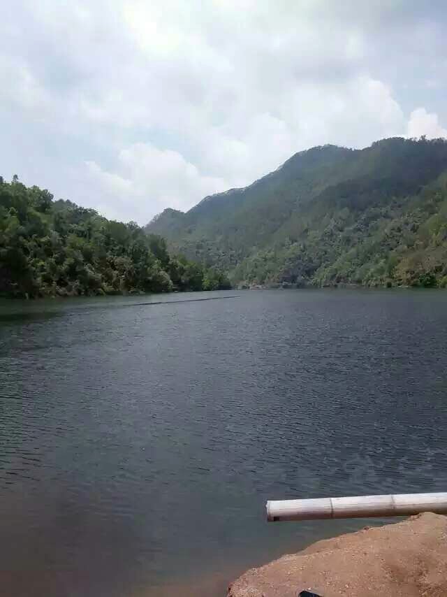 梁河三叉河钓场