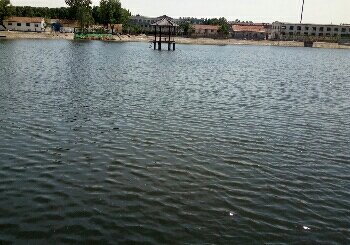 清松渔乐垂钓园