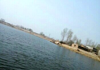 夏庄生态休闲鱼塘